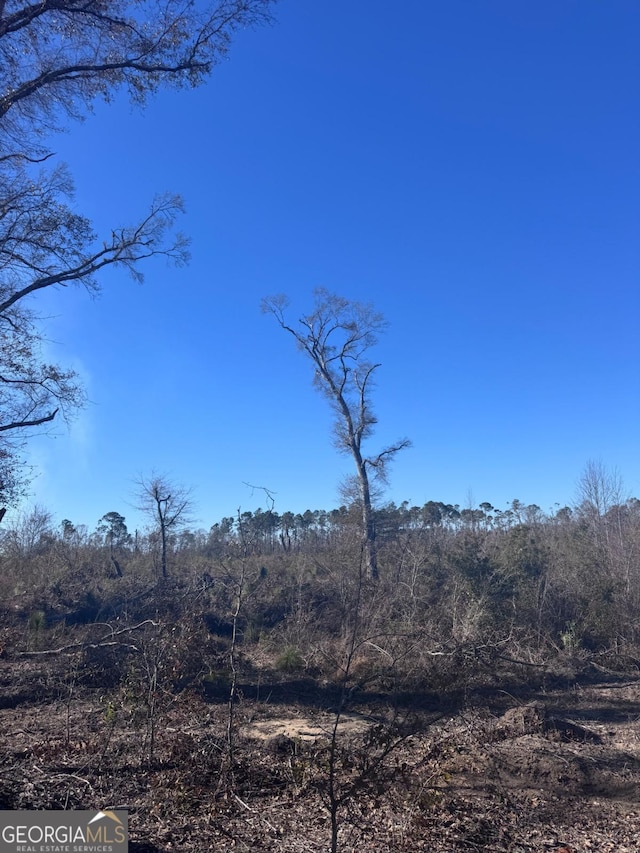 215 Spell Rd, Hazlehurst, GA 31539