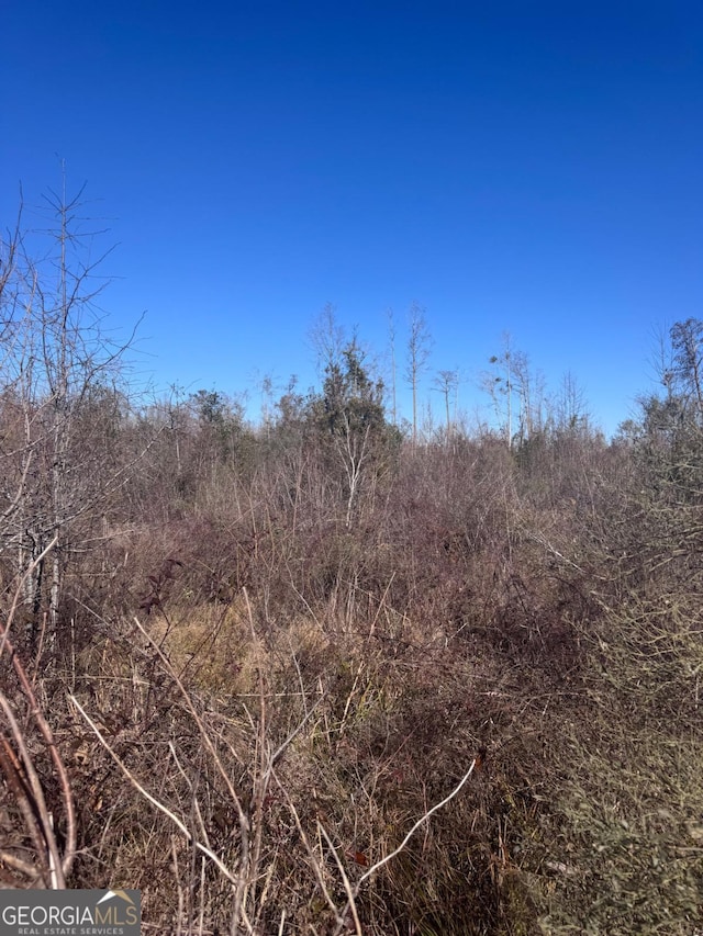 215 Spell Rd, Hazlehurst, GA 31539