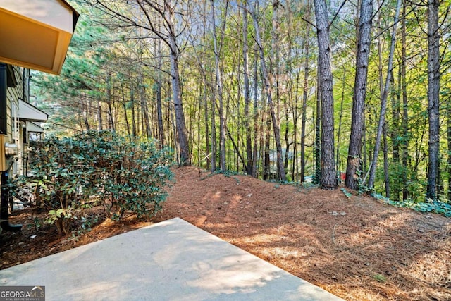 view of yard with a patio