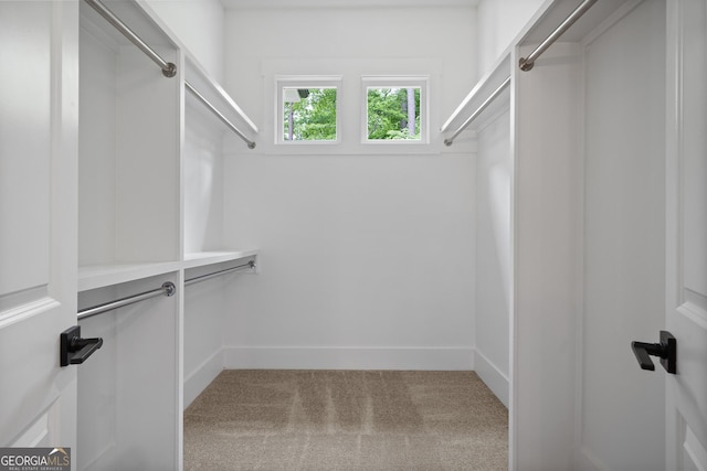 spacious closet with carpet floors