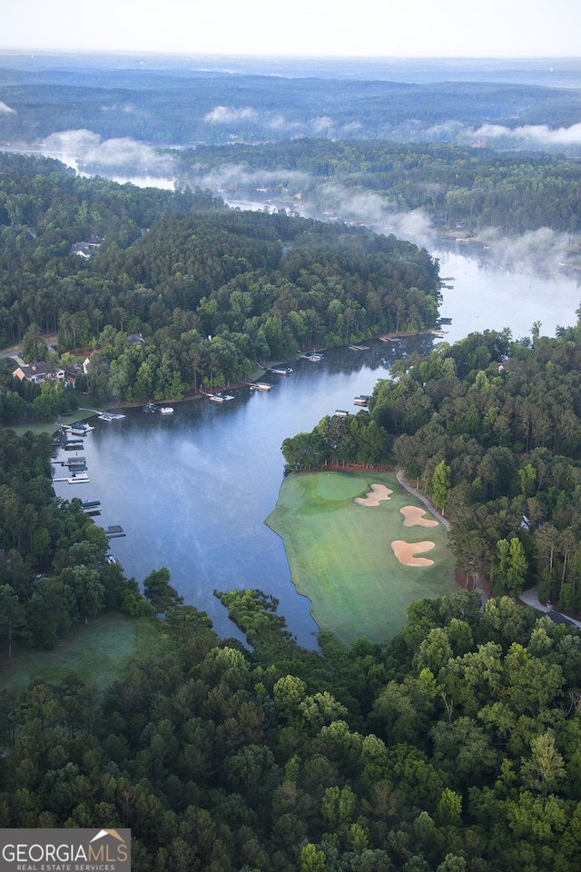 aerial view featuring a view of trees and a water view