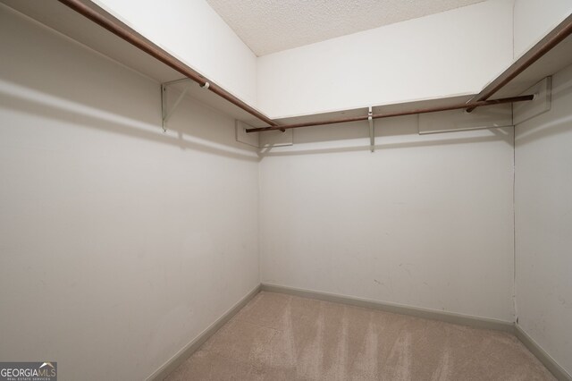 spacious closet featuring light colored carpet