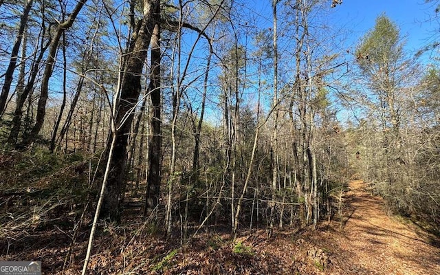 Listing photo 3 for 0 Mill Creek Acres, Blue Ridge GA 30513