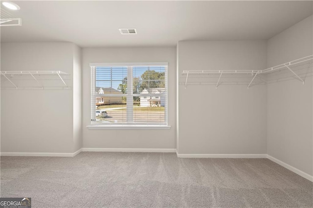 spacious closet featuring carpet flooring