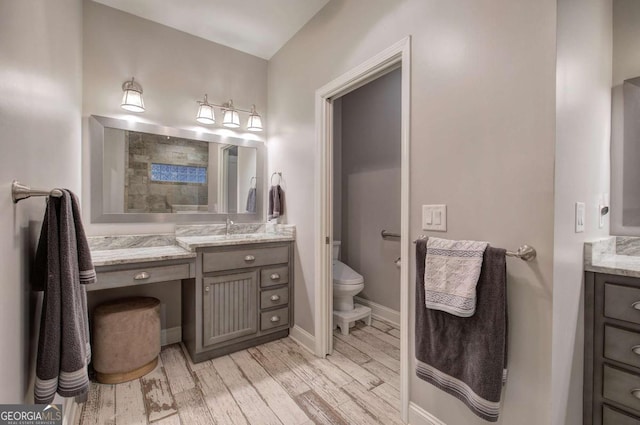 bathroom featuring hardwood / wood-style flooring, vanity, a shower, and toilet