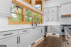 kitchen with white cabinetry, appliances with stainless steel finishes, dark hardwood / wood-style floors, and sink