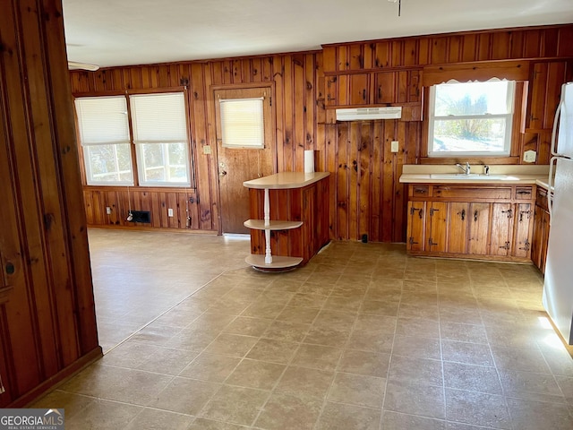 kitchen featuring sink and wooden walls