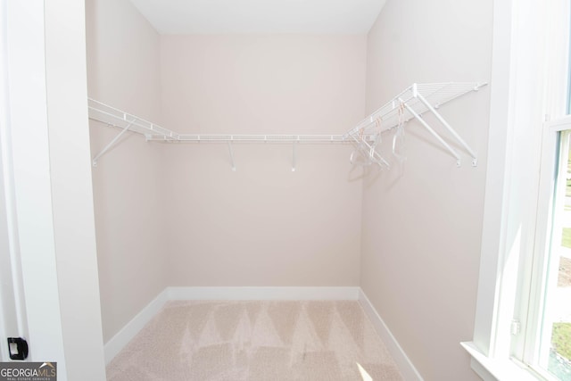 69 Oakhurst Trl, Sharpsburg, GA 30277 - walk in closet featuring carpet flooring