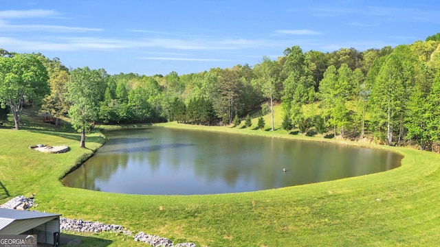 1580 Loving Rd, Morganton, GA 30560 - property view of water featuring a forest view