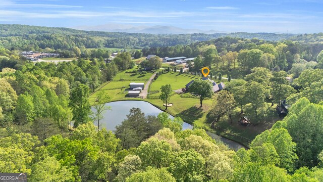 1580 Loving Rd, Morganton, GA 30560 - bird's eye view featuring a water view and a wooded view