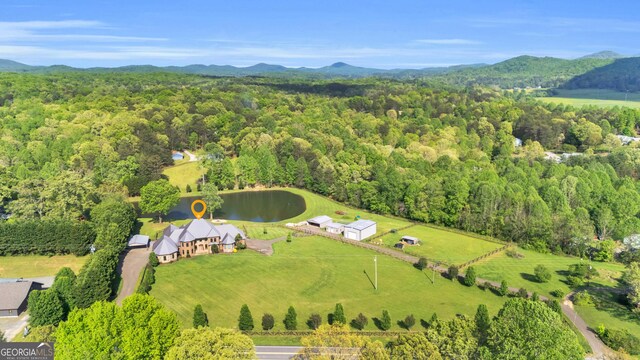 1580 Loving Rd, Morganton, GA 30560 - bird's eye view featuring a view of trees and a water and mountain view