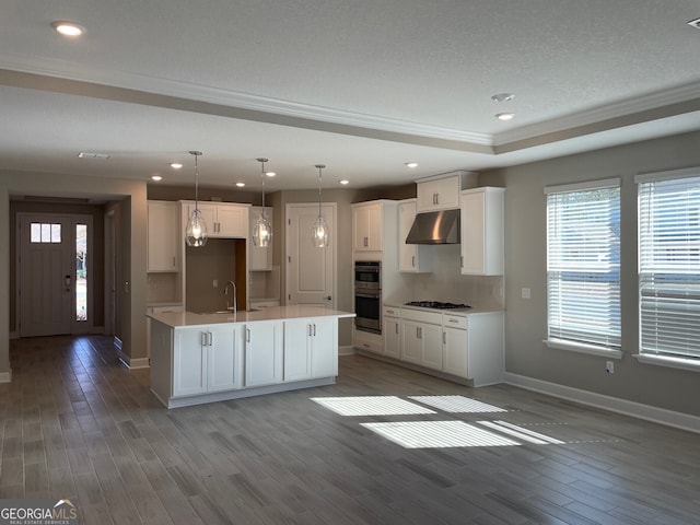 kitchen with pendant lighting, sink, white cabinets, light hardwood / wood-style floors, and a center island with sink