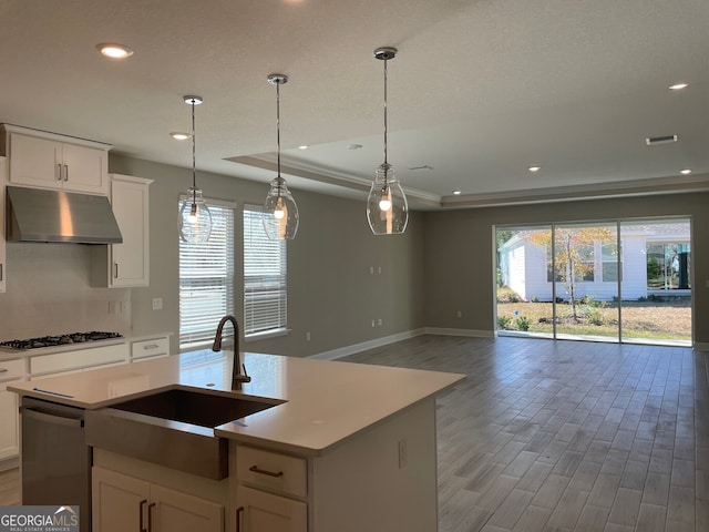 kitchen with white cabinetry, a kitchen island with sink, a raised ceiling, and sink