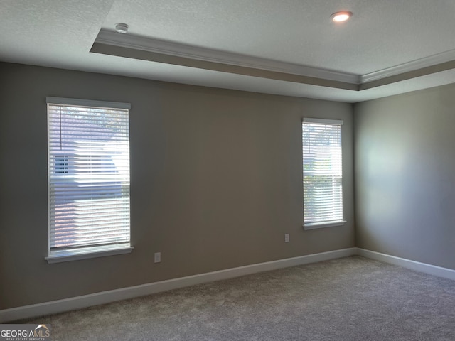 carpeted empty room with crown molding and a raised ceiling