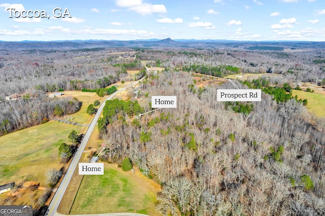 birds eye view of property with a mountain view