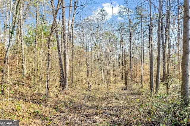 view of local wilderness