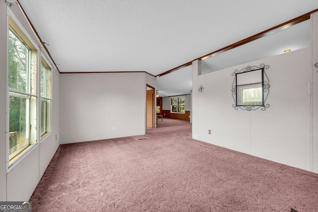 spare room with carpet floors and a textured ceiling