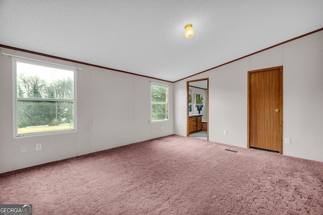 carpeted empty room with lofted ceiling, a wealth of natural light, and a textured ceiling