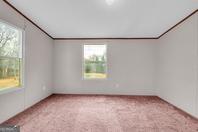 spare room with carpet floors and a textured ceiling