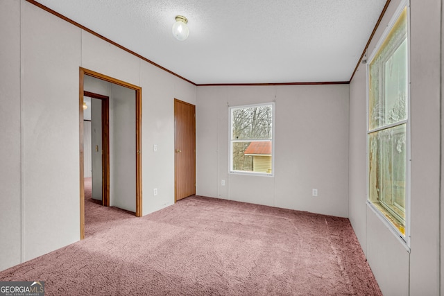 carpeted spare room with ornamental molding and a textured ceiling