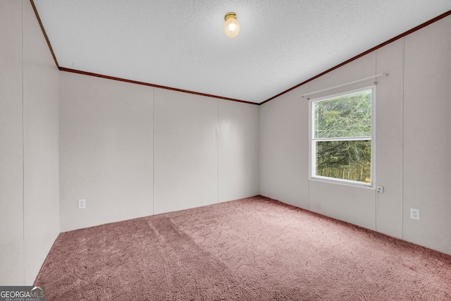 carpeted spare room with a textured ceiling