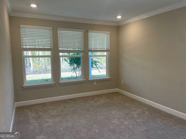 empty room with ornamental molding and carpet flooring