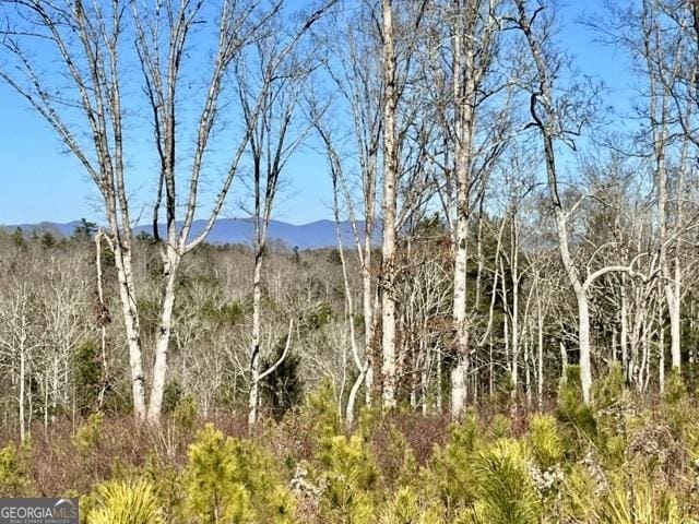 LOT4 High River Rd, Ellijay GA, 30540 land for sale