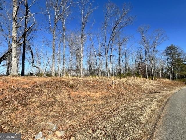 Listing photo 2 for LOT4 High River Rd, Ellijay GA 30540