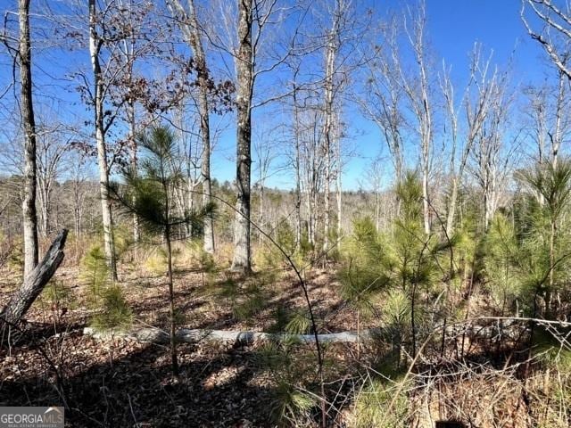 Listing photo 3 for LOT4 High River Rd, Ellijay GA 30540