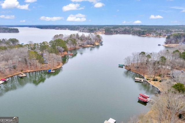 drone / aerial view featuring a water view