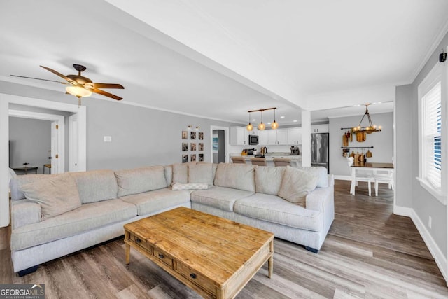 living room featuring ceiling fan with notable chandelier, wood-type flooring, and ornamental molding