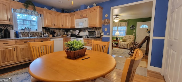 kitchen featuring sink, white appliances, ceiling fan, light hardwood / wood-style floors, and backsplash