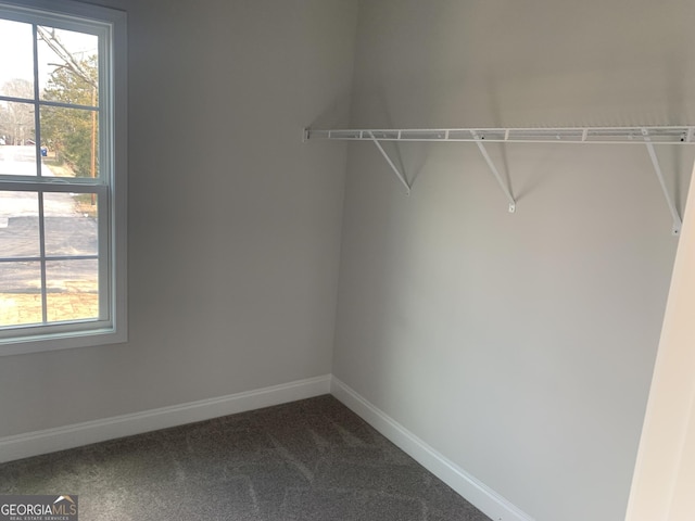 spacious closet featuring carpet