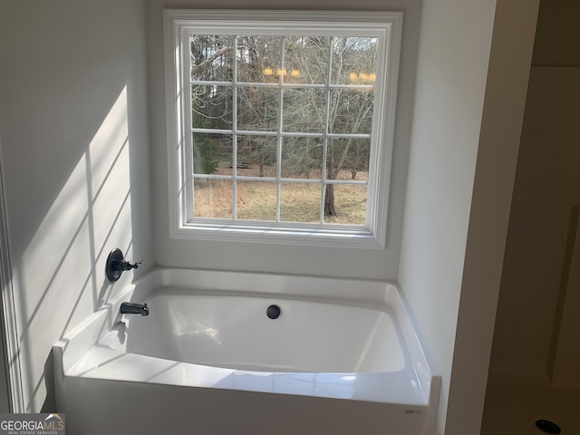 bathroom featuring a washtub and a wealth of natural light