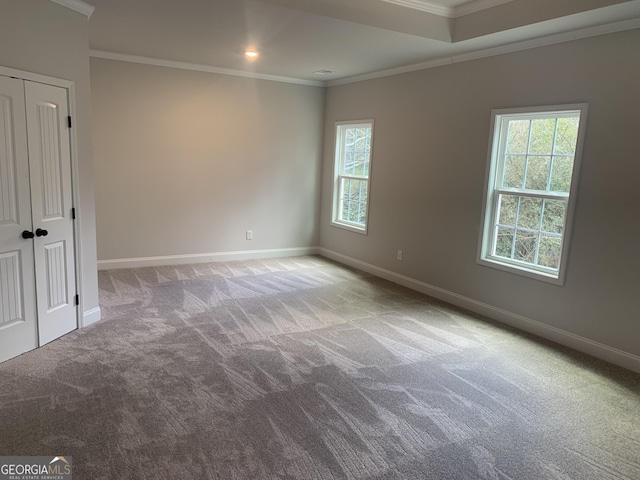 carpeted spare room with crown molding