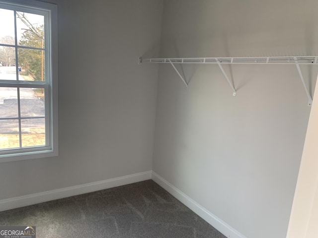 spacious closet with carpet