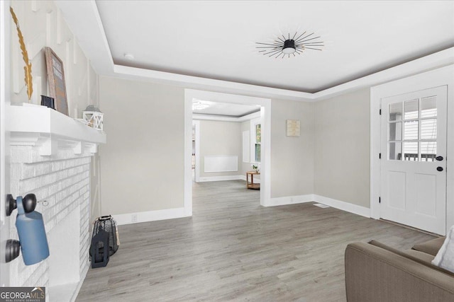 entrance foyer featuring wood-type flooring and a raised ceiling