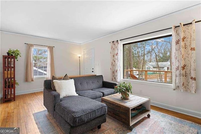 living room with wood-type flooring