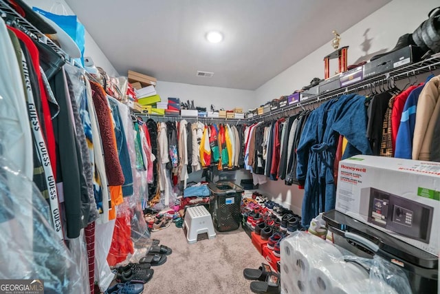 spacious closet featuring carpet floors