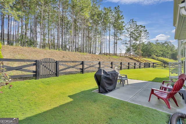 view of yard featuring a patio area