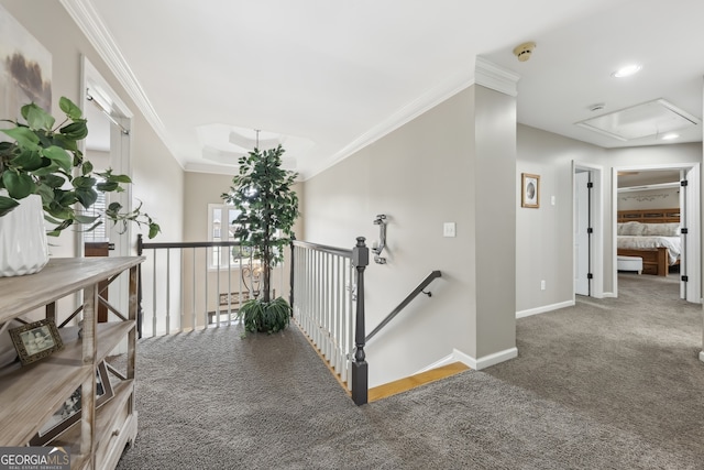 hallway featuring crown molding and carpet floors