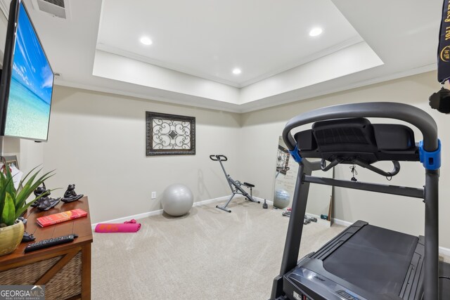 exercise room featuring a raised ceiling and carpet