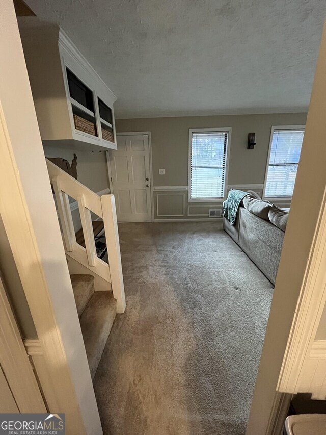 walk in closet with carpet