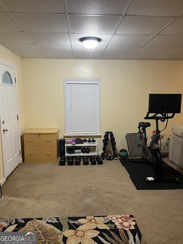 workout room with carpet flooring and a drop ceiling