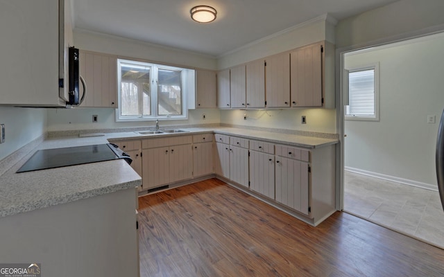 kitchen featuring plenty of natural light, sink, range, and light hardwood / wood-style floors