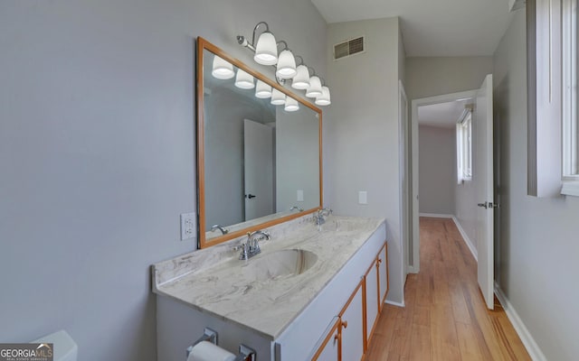 bathroom with vanity and wood-type flooring