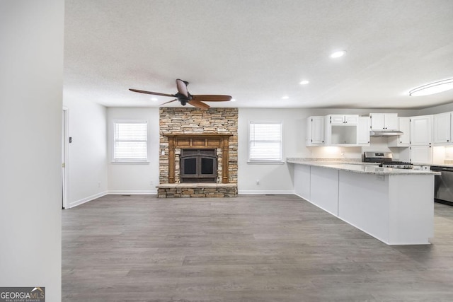 kitchen with plenty of natural light, stainless steel appliances, kitchen peninsula, and white cabinets