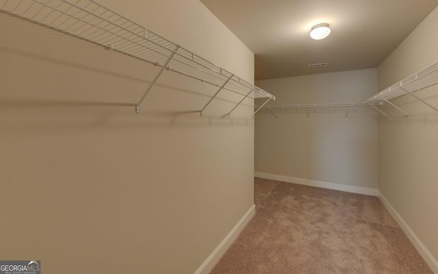 walk in closet with light colored carpet