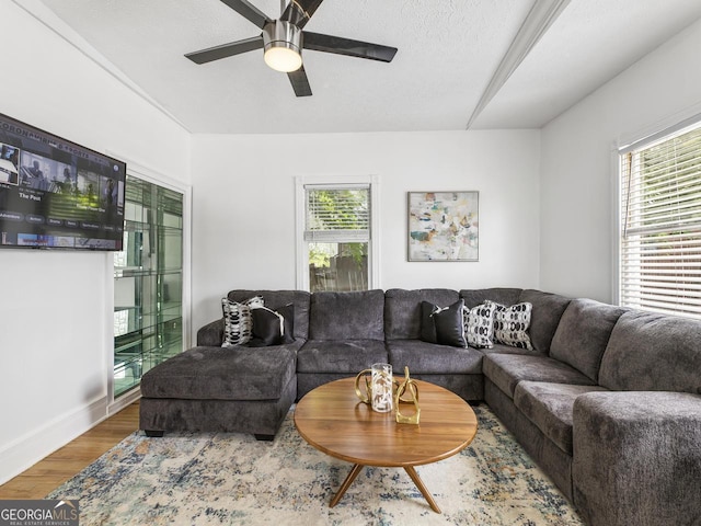 living room featuring ceiling fan, wood-type flooring, and a textured ceiling