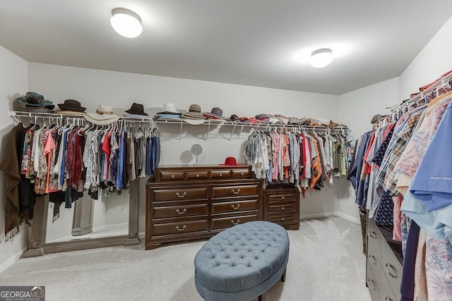 spacious closet with light carpet